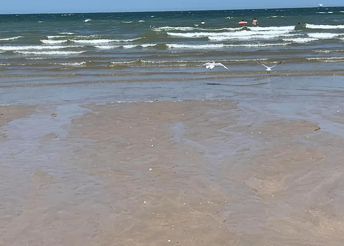 Feriehus Jolie Maison Proche Des Commerces Et De La