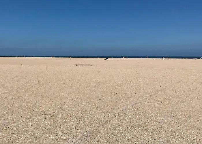 Feriehus Jolie Maison Proche Des Commerces Et De La